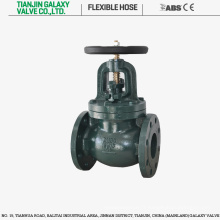 BS / MSS Cast Iron OS &amp; Y Globe Valve